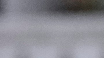 Jeff Bezos y Lauren Sánchez se casaron en una lujosa boda en Venecia.