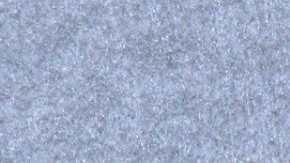 Jimena Gállego compartió con Caramelo en la ciudad de Nueva York.