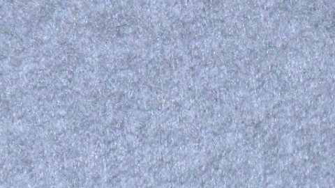 Jimena Gállego compartió con Caramelo en la ciudad de Nueva York.