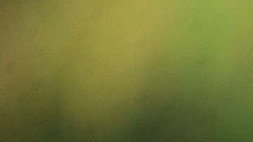 Jordana Brewster está casada desde 2022 con un financiero.