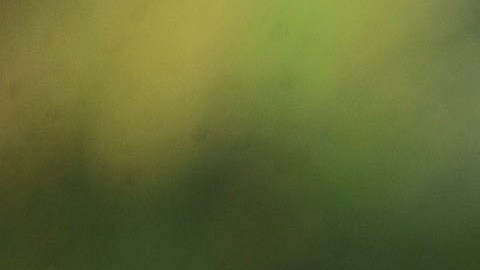 Jordana Brewster está casada desde 2022 con un financiero.