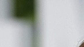 La batalla entre Blake Lively y Justin Baldoni comenzó el año pasado tras el estreno de 'It Ends with Us'.