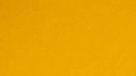 Solo por dos días estarán disponibles las donas con diseños especiales para el Día de Padre.