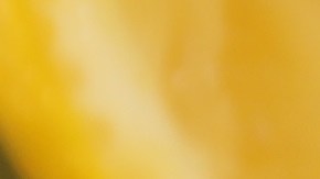 La limonada es una bebida deliciosa con multiples beneficios para la salud.