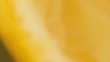 La limonada es una bebida deliciosa con multiples beneficios para la salud.