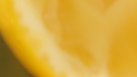 La limonada es una bebida deliciosa con multiples beneficios para la salud.