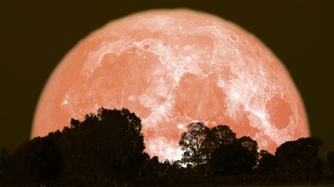 Luna de fresa