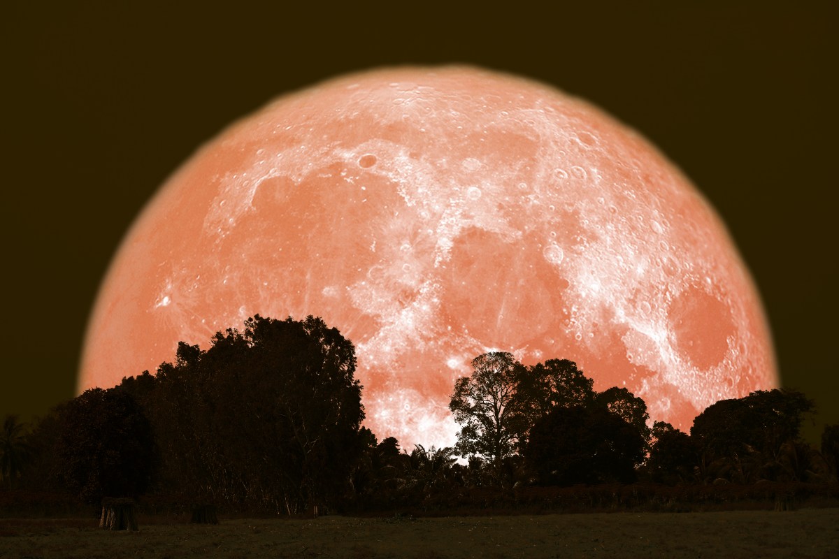 Luna llena de junio 2025: Cuándo será, qué significa la Luna de Fresa y el calendario lunar del año