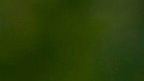 Liberaron al activista palestino Mahmoud Khalil tras meses en cárcel migratoria