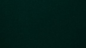 Javier Mascherano en el Mundial de Clubes.