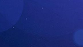 A partir de 10 de junio estará disponible el McFlurry S'mores de Hershey's.