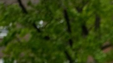 Rodríguez-Rosa dijo que se encuentra trabajando para garantizar que las piscinas públicas de la Gran Manzana tengan suficientes salvavidas para abrir sin interrupciones el próximo 27 de junio.
