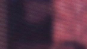 Migbelis Castellanos, presentadora venezolana de televisión.