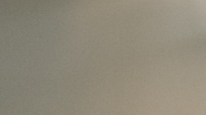 La comida daña expide un olor fuerte y desagradable, sin embargo, hay bacterias que contaminan los alimentos y no afectan el olor y la textura.