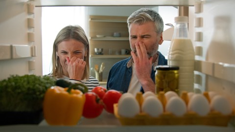 La comida daña expide un olor fuerte y desagradable, sin embargo, hay bacterias que contaminan los alimentos y no afectan el olor y la textura.