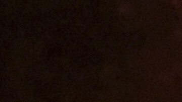 Hinchas del PSG celebran el título de Champions League.