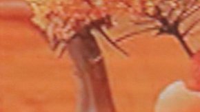 En Despierta América anunciaron este 9 de junio el fallecimiento de Patricia Fuenmayor.