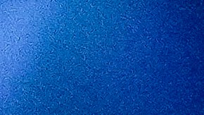 Pepe Aguilar tenía una relación laboral con Gussy Lau, quien protagonizó un escándalo con Ángela Aguilar.