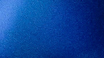 Pepe Aguilar tenía una relación laboral con Gussy Lau, quien protagonizó un escándalo con Ángela Aguilar.