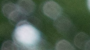 Conoce las seis mejoras pizzerías de Nueva York.