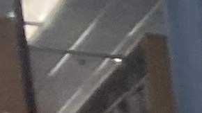 Jornada caliente electoral en las primarias neoyorquinas.