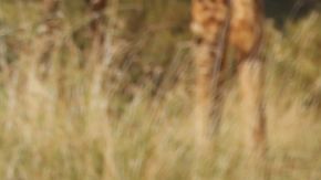 Raúl de Molina, presentador de El Gordo y la Flaca.