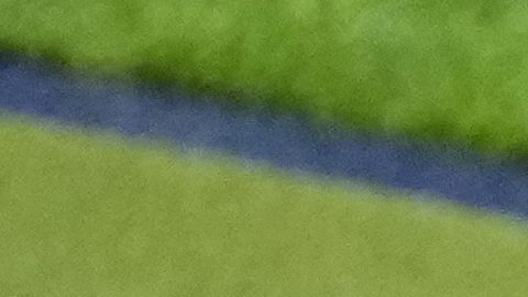 Robert Lewandowski y el entrenador Michał Probierz.