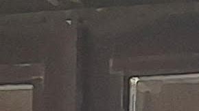 Sandra Jaquez, líder gremial de los emprendedores gastronómicos y bares hispanos de Nueva York califica como "positivo" que las revisiones sanitarias tomen un giro a favor de la industria y los clientes.