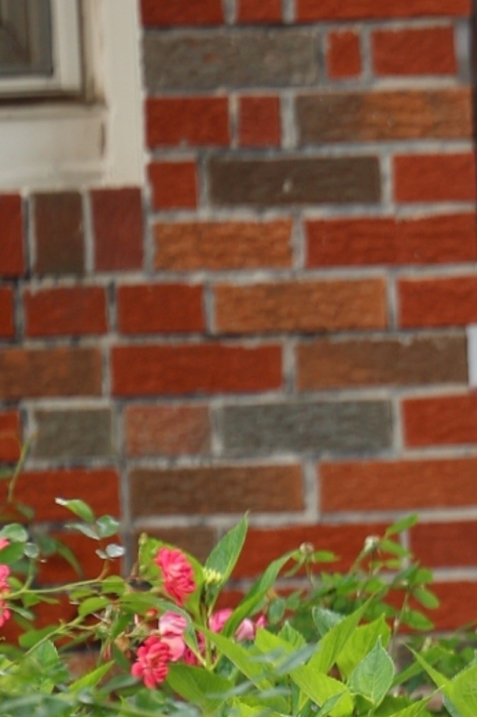 Aún no se tiene fecha de estreno de 'Papper Tiger'.