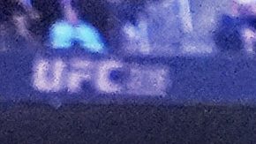 Donald Trump en UFC 316.