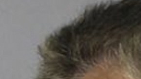 Vance Boelter planeó meticulosamente ataques contra legisladores en Minnesota: detalles