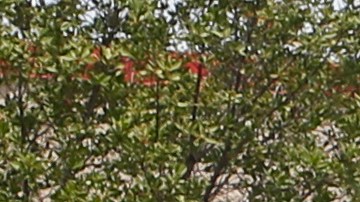 Los artículos tecnológicos en Costco están a precios competitivos durante el mes de julio.