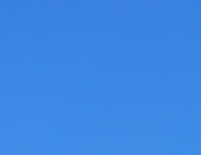 Wienerschnitzel llega a Walmart con su menú completo.