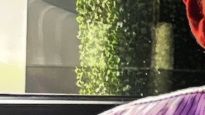 ICE y detención de mexicana Yesenia Muñoz