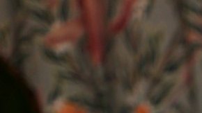 Zuleyka Rivera es una de las capitanas de Miss Universe Latina, El Reality.