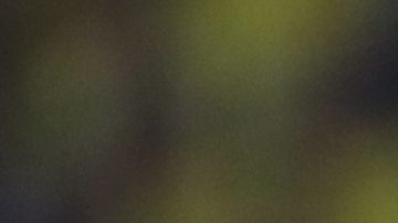 Ancelotti se estrenó con Brasil en aburrido empate ante Ecuador