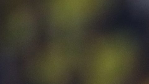 Ancelotti se estrenó con Brasil en aburrido empate ante Ecuador
