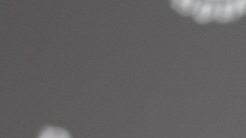 Aislinn Derbez reveló que sus padres, Eugenio Derbez y Gabriela Michel, “se odiaban a un nivel inimaginable”.