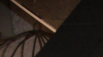 Alejandra Capetillo se casó con Nader Shoueiry por la iglesia el 24 de mayo.