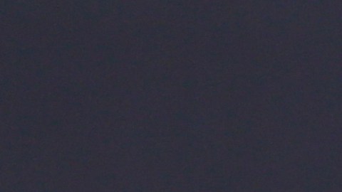 Alejandro Sanz aseguró que lo que vivieron fue un vínculo entre “personas adultas compartiendo su cariño.