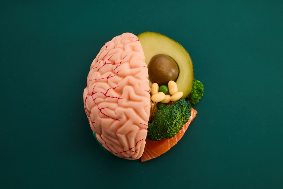 Protege tu cerebro: Un nuevo estudio revela 5 nutrientes clave contra la demencia