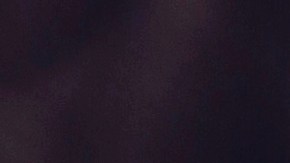 Las almendras cubiertas con chocolate negro fueron distribuidas en seis estados del país.