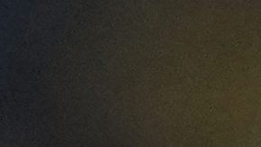 Carlo Ancelotti durante su primer partido al mando de la selección brasileña.