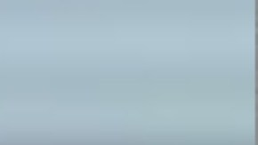 Foto policial de Ada Anderson, la anciana de Florida arrestada por agredir a dos niños y su madre.