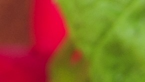 La FDA alerta sobre el riesgo de contaminación de un lote de arenques distribuidos en Nueva York.