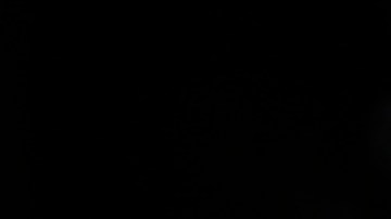 El "avión del fin del mundo" de EE.UU. desata especulaciones sobre posible ataque a Irán