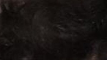 Hispano quemó bandera de Estados Unidos, huyó y se escondió en casa ajena: dos pitbulls lo atacaron