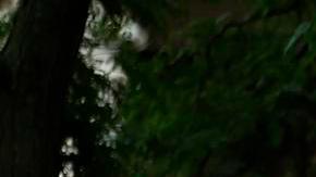 Pancartas cuelgan en el Teatro del Tricentenario antes del inicio de la 374.ª ceremonia de graduación de la Universidad de Harvard en Cambridge, Massachusetts, EE.UU., hoy 29 de mayo de 2025.