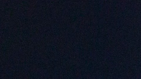 “The Elysian Collection” hará su estreno mundial este mes.