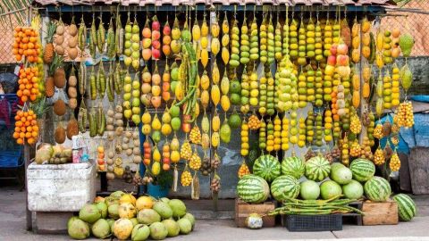 Frutas Amazonias